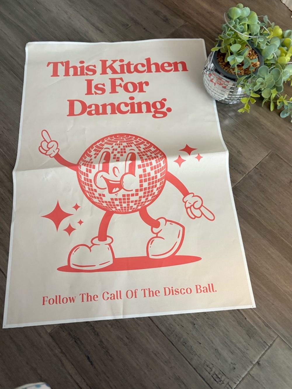 Disco ball poster and hanging plant!